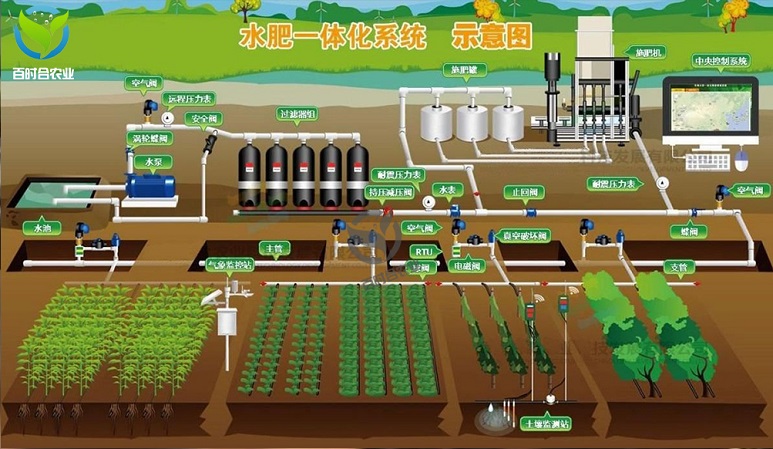 农业灌溉高端物联网
系统由哪些部件组成？