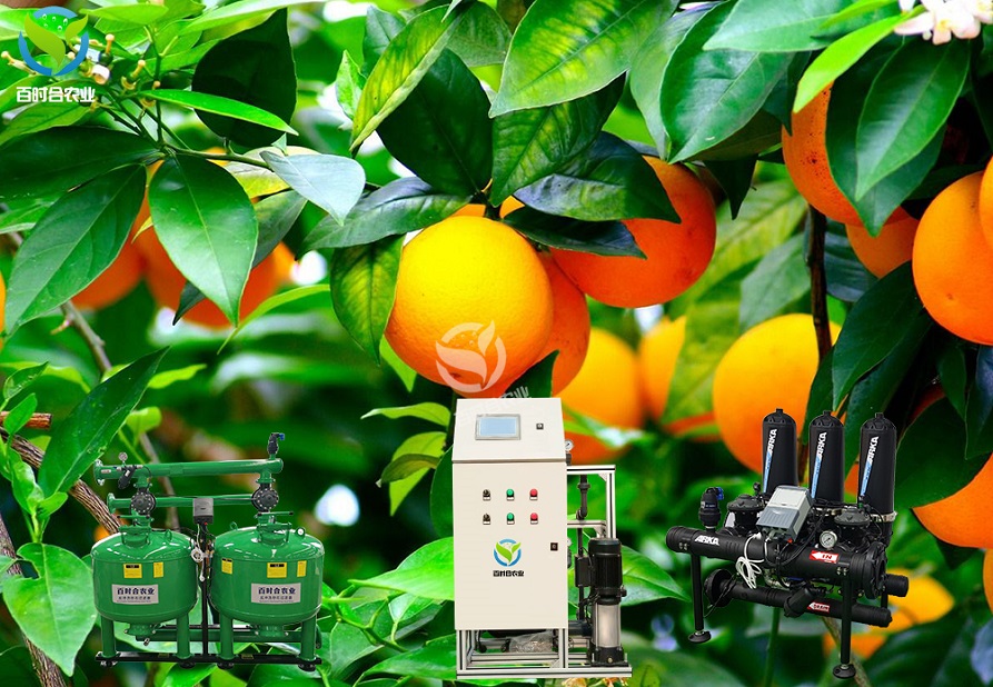 浅析水肥一体机在果园种植中的应用.jpg