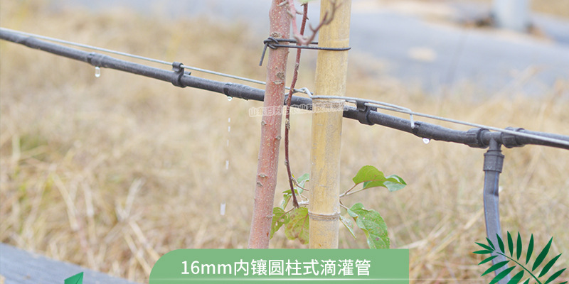 内镶圆柱式滴灌管  厂家供应园林果树灌溉农用16滴灌管