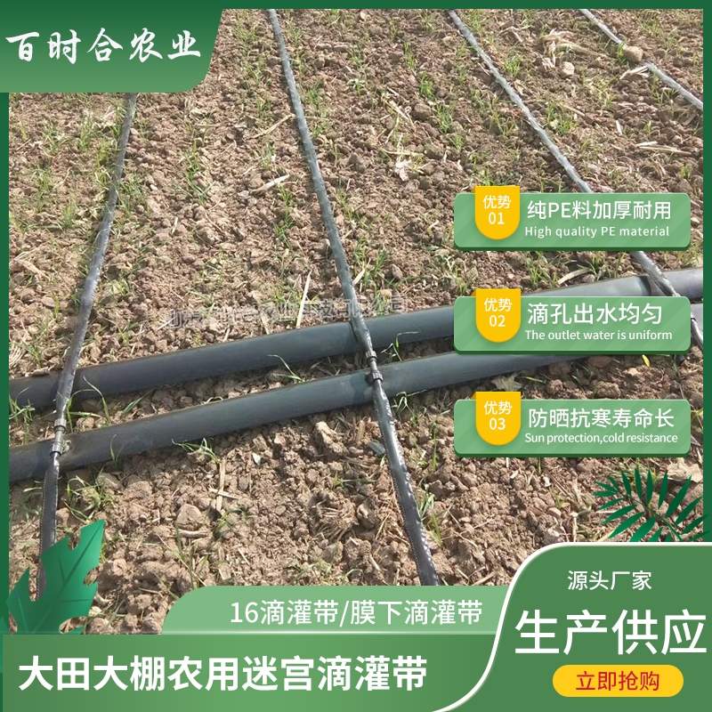 上海迷宫滴灌带价格优 厂家生产供应膜下大田温室农用迷宫式16滴水带