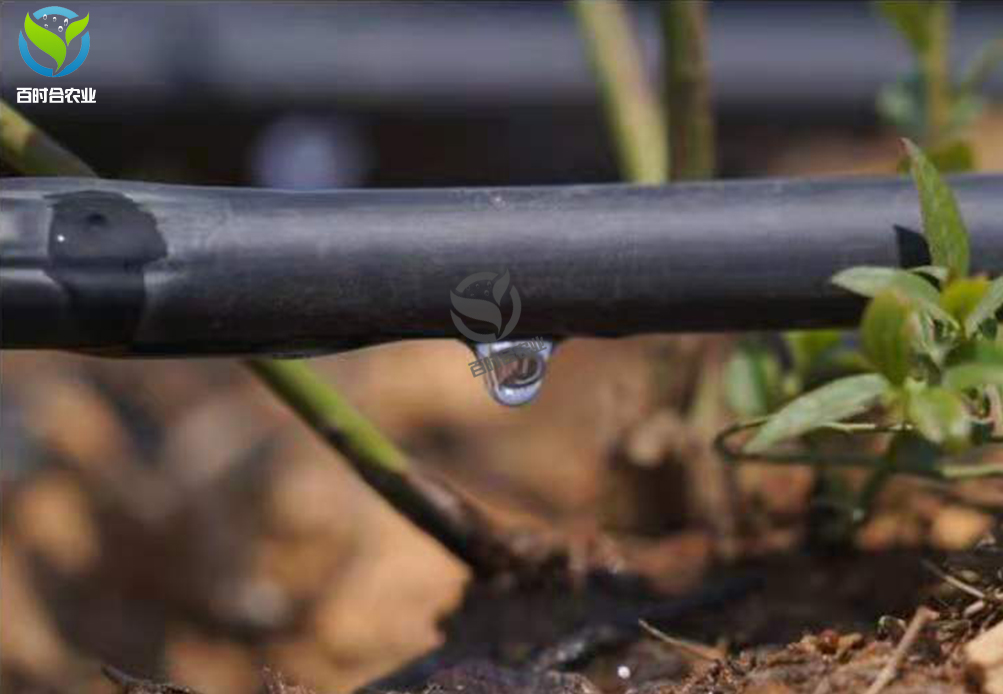 
农业滴灌
产品在高效节水灌溉项目中的应用.jpg