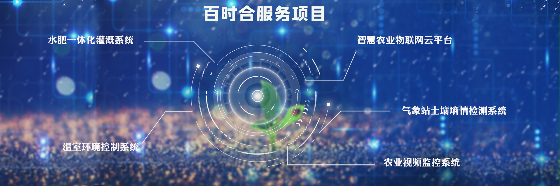 江南app官方入口网站
农业主营产品